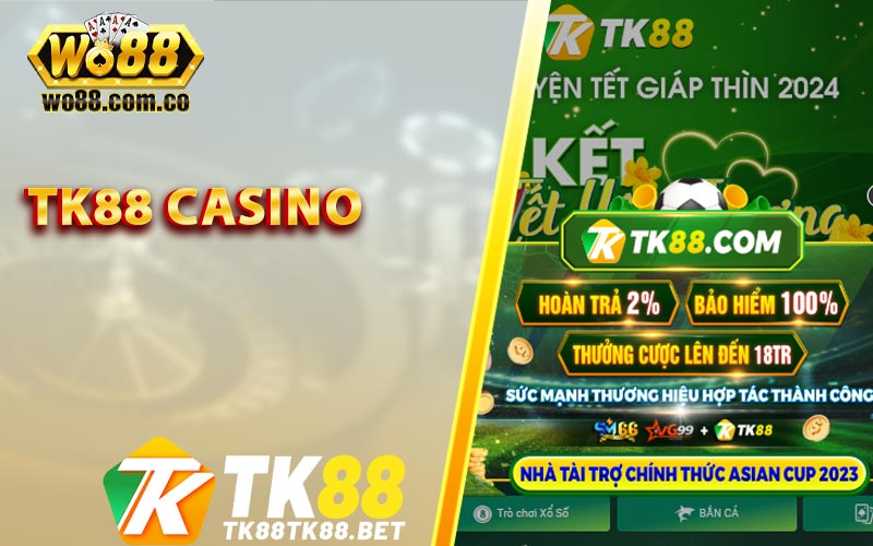 Tổng quan về nhà cái TK88 Casino